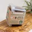 Healthy Dog CBD Biscuits - 4mg Sale