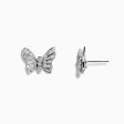 Nature 14K White Gold Diamond Butterfly Earrings Sale